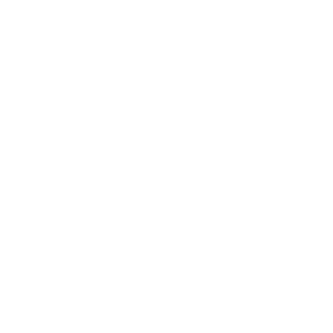 Logo ADAM & PARTNER